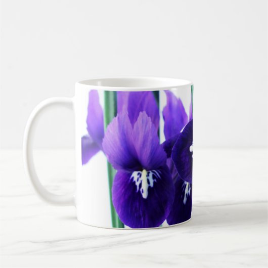 Iris Reticulata Tasse (Links)