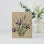 Iris Reticulata von Arentina Hendrica Arendsen Postkarte (Stehend Vorderseite)