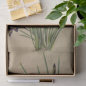 Iris Reticulata von Arentina Hendrica Arendsen Seidenpapier (Geschenk)