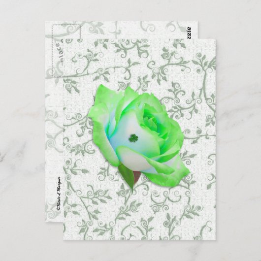 Iris Rose und Kleeblatt! Postkarte (Vorne/Hinten)