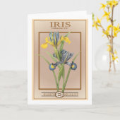 Iris-Samenpackung Karte (Gelbe Blume)