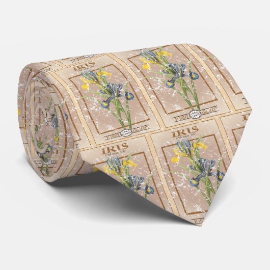 Iris - Samenpackung - Not leidend Krawatte (Gerollt)