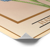 Iris-Samenpackung Poster (Ecke)