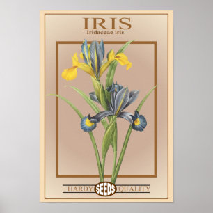 Iris-Samenpackung Poster