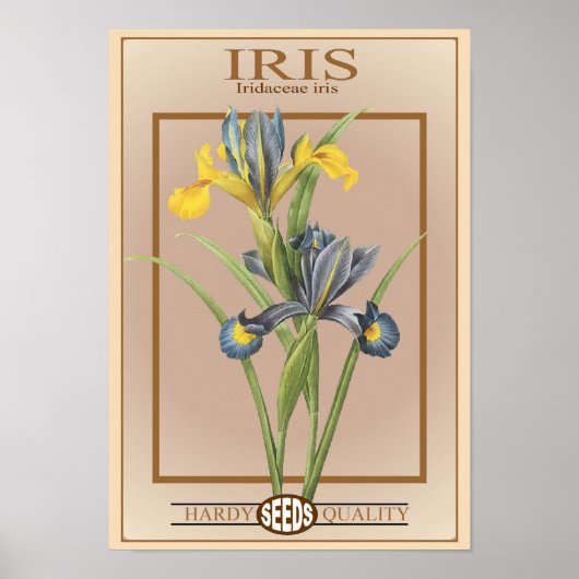 Iris-Samenpackung Poster (Vorne)