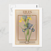 Iris-Samenpackung Postkarte (Vorne/Hinten)