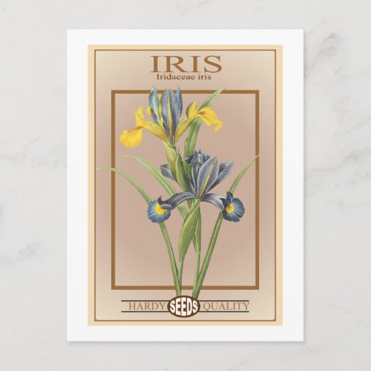 Iris-Samenpackung Postkarte (Vorderseite)