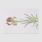 Iris Sari von William Dykes Seidenpapier (Vorderseite)