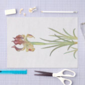 Iris Sari von William Dykes Seidenpapier (Handwerk)