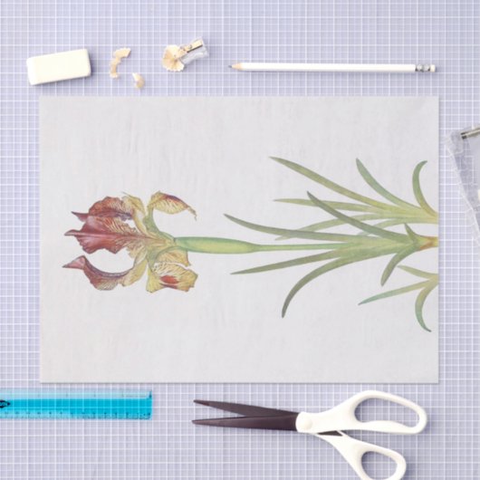 Iris Sari von William Dykes Seidenpapier (Handwerk)