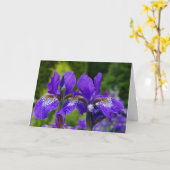 Iris sibirica Blumenfotografie Karte (Gelbe Blume)
