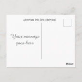 Iris sibirica Blumenfotografie Postkarte (Rückseite)