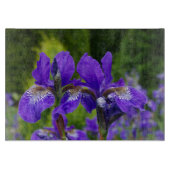 Iris sibirica Blumenfotografie Schneidebrett (Vorderseite)