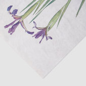 Iris Sintenisii und Iris Spuria von William Dykes Seidenpapier (Ausschnitt)