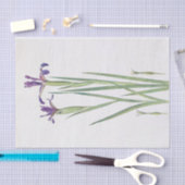 Iris Sintenisii und Iris Spuria von William Dykes Seidenpapier (Handwerk)