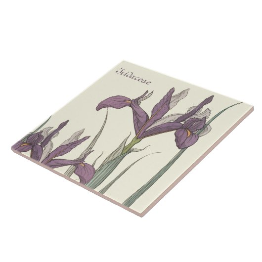 Iris-Spitze Fliese (Seite)