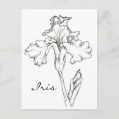 Iris Spring Blume Pen and Ink Zeichnend Postkarte (Vorderseite)