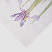 Iris Spuria (Kashmir) von William Dykes Seidenpapier (Ausschnitt)