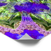 Iris Stars...... Poster (Ecke)