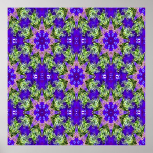 Iris Stars...... Poster (Vorne)