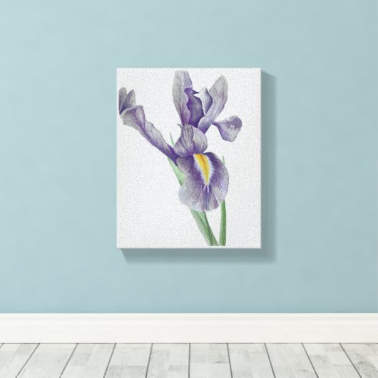 Iris Stretched Canvas Print Leinwanddruck (Insitu (Holzboden))