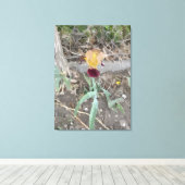 Iris Stretched Canvas Print Leinwanddruck (Insitu (Holzboden))