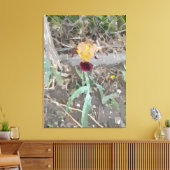 Iris Stretched Canvas Print Leinwanddruck (Insitu (Wohnzimmer))