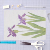 Iris Tectorum und Iris Loptec von William Dykes Seidenpapier (Handwerk)