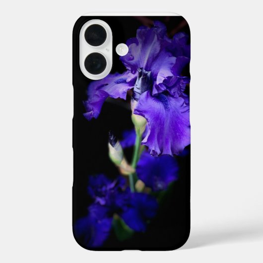 Iris-Telefongehäuse Case-Mate iPhone Hülle (Rückseite)