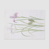 Iris Tenax von William Dykes Seidenpapier (Vorderseite)