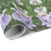 Iris ~ The Blume Collections Geschenkpapier (Rolleneckpunkt)