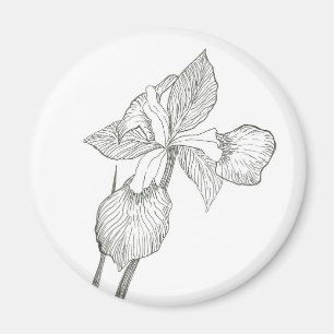 Iris Tinte Magnet