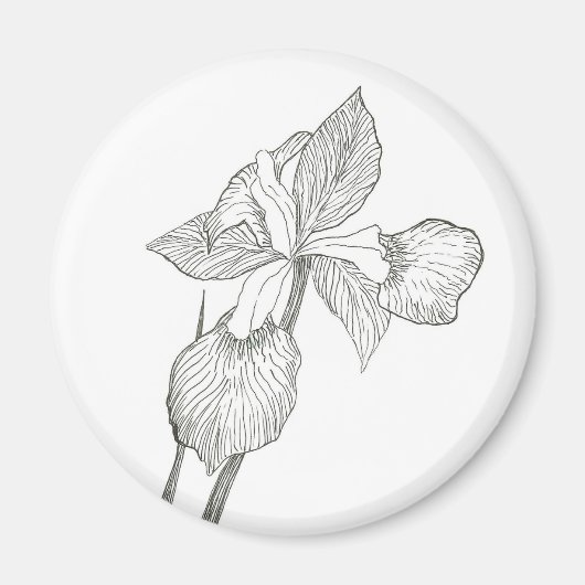 Iris Tinte Magnet (Vorne)