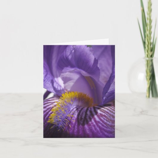 Iris' Tongue Karte (Vorderseite)