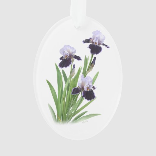 Iris Trio Ornament (Rückseite)