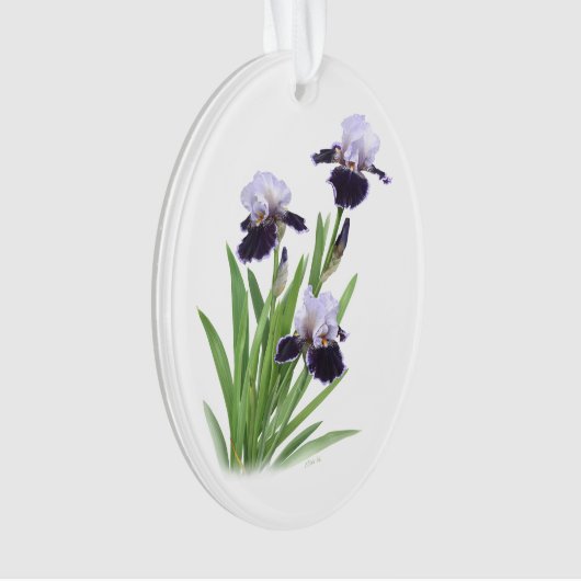 Iris Trio Ornament (Vorderseite)