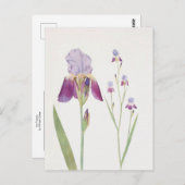 Iris Trojana von William Dykes Postkarte (Vorne/Hinten)
