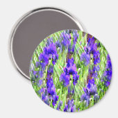Iris Twirl...... Magnet (Vorderseite/Rückseite)