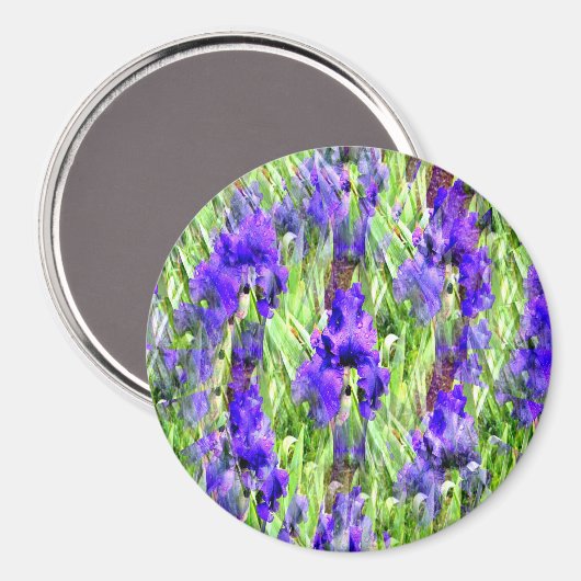 Iris Twirl...... Magnet (Vorderseite/Rückseite)