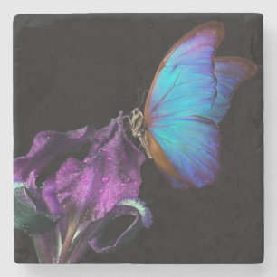 Iris und Butterfly Steinuntersetzer