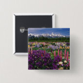 Iris und Lupine Garden und Teton Range, Button (Vorne & Hinten)