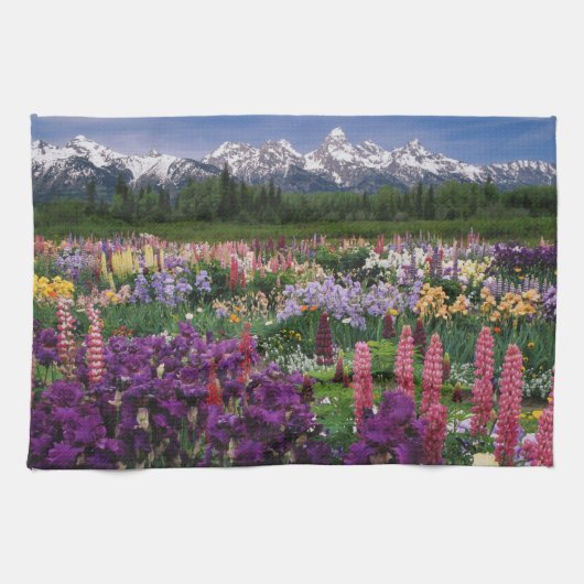 Iris und Lupine Garden und Teton Range, Handtuch (Horizontal)