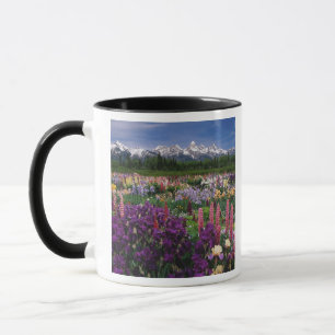 Iris und Lupine Garden und Teton Range, Tasse