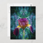 Iris und seine Bedeutung Postkarte (Vorne/Hinten)