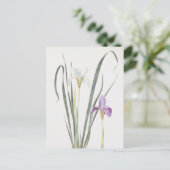 Iris Unguicularis von William Dykes Postkarte (Stehend Vorderseite)