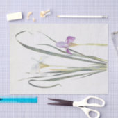 Iris Unguicularis von William Dykes Seidenpapier (Handwerk)