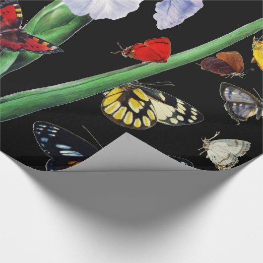 IRIS UNTER DEN FARBEN SCHÜTTERFLIESSEN Schwarze Bl Geschenkpapier (Ecke)