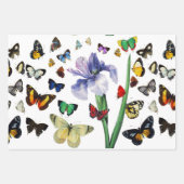 IRIS UNTER DEN FARBHAFTEN BUTTERFLIS Red Black Flo Geschenkpapier Set (Vorderseite 3)