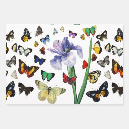 IRIS UNTER DEN FARBHAFTEN BUTTERFLIS Red Black Flo Geschenkpapier Set (Vorderseite 3)
