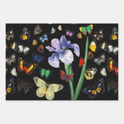 IRIS UNTER DEN FARBHAFTEN BUTTERFLIS Red Black Flo Geschenkpapier Set (Vorderseite 2)